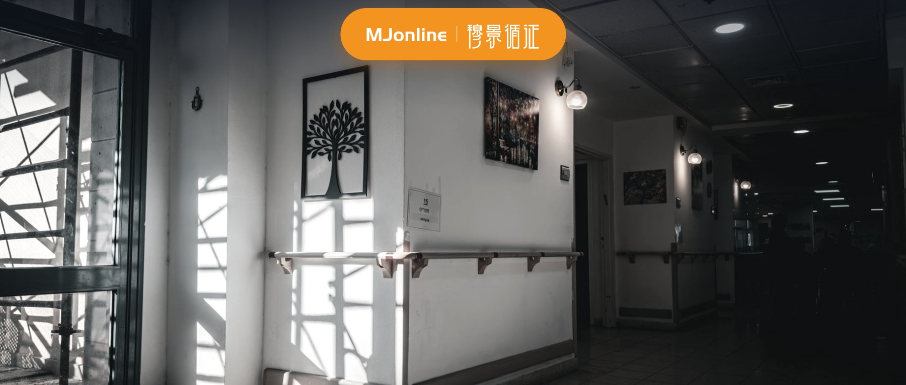 老年综合评估，结果要进入照护安排