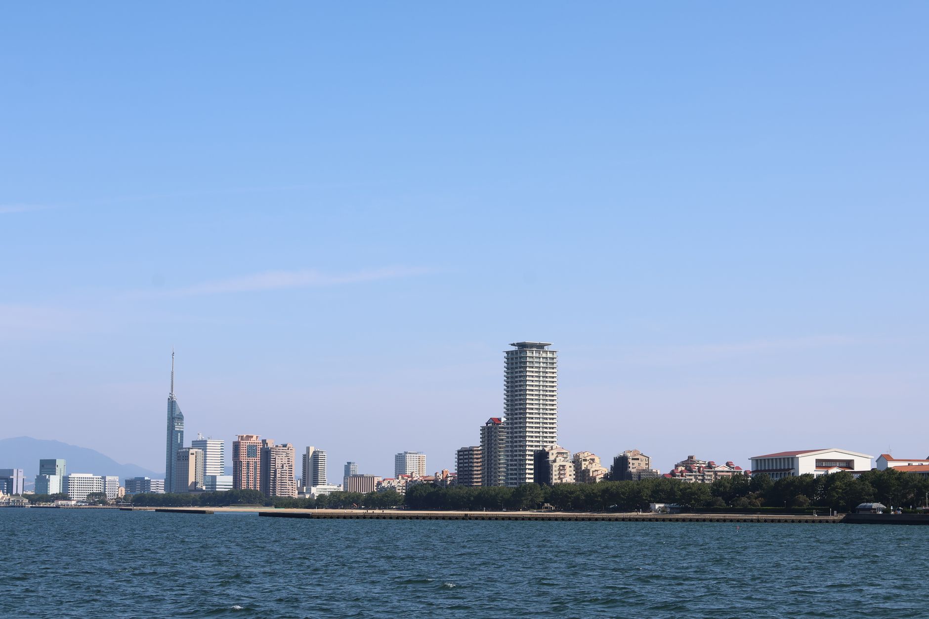 宁波中东欧医药平台上线,药械出海改拼团