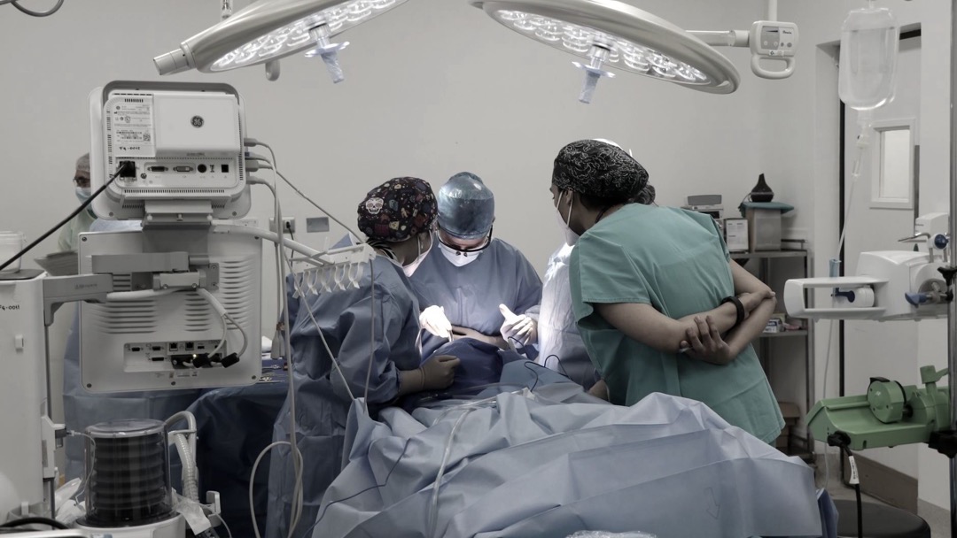 《经导管主动脉瓣置换(TAVR)系统输送器及瓣膜疲劳性能注册审查指导原则（2026版）》发布，输送器第一次被当作主角来审
